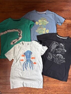 Tea Collection  Brand Boys Tees Bundle of 4 Size 14